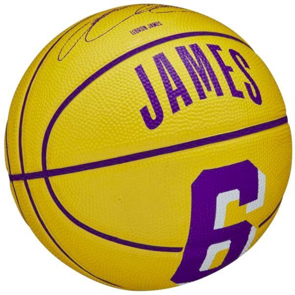 Мяч баскетбольный Wilson NBA PLAYER ICON MINI BSKT LEBRON размер 3 WZ4007201XB3 фото