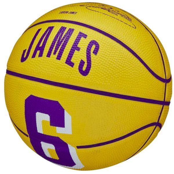 Мяч баскетбольный Wilson NBA PLAYER ICON MINI BSKT LEBRON размер 3 WZ4007201XB3 фото