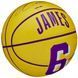 Мяч баскетбольный Wilson NBA PLAYER ICON MINI BSKT LEBRON размер 3 WZ4007201XB3 фото 4