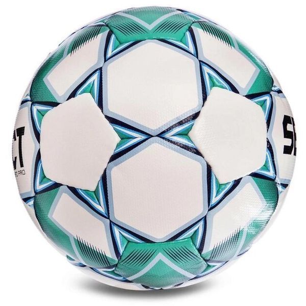М'яч футбольний SELECT CAMPO PRO IMS №5 386000-015 фото