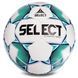 М'яч футбольний SELECT CAMPO PRO IMS №5 386000-015 фото 1