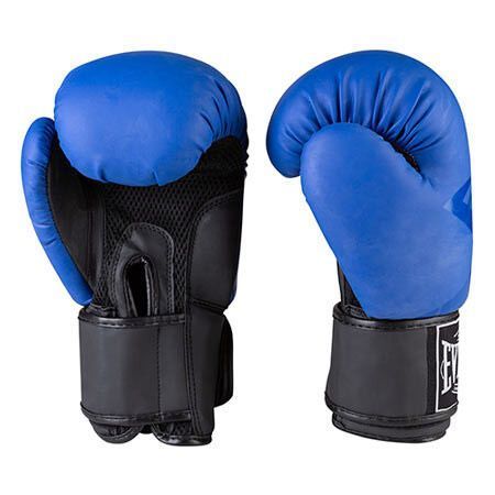Перчатки боксерские EVL 10-12oz матовые в ассортименте 3597 фото