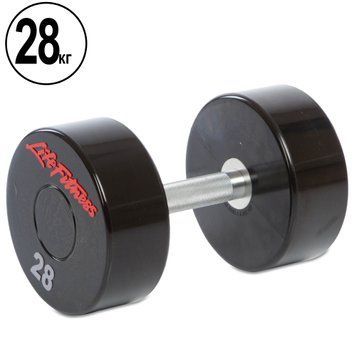 Гантель цільна професійна LIFE FITNESS GA-80081-28 1шт 28кг GA-80081-28 фото